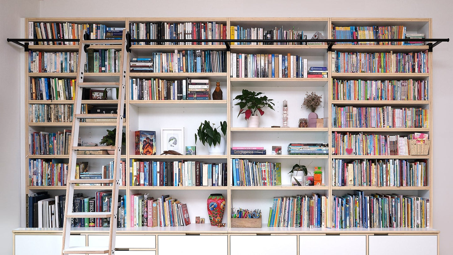 Library with Rolling Ladder