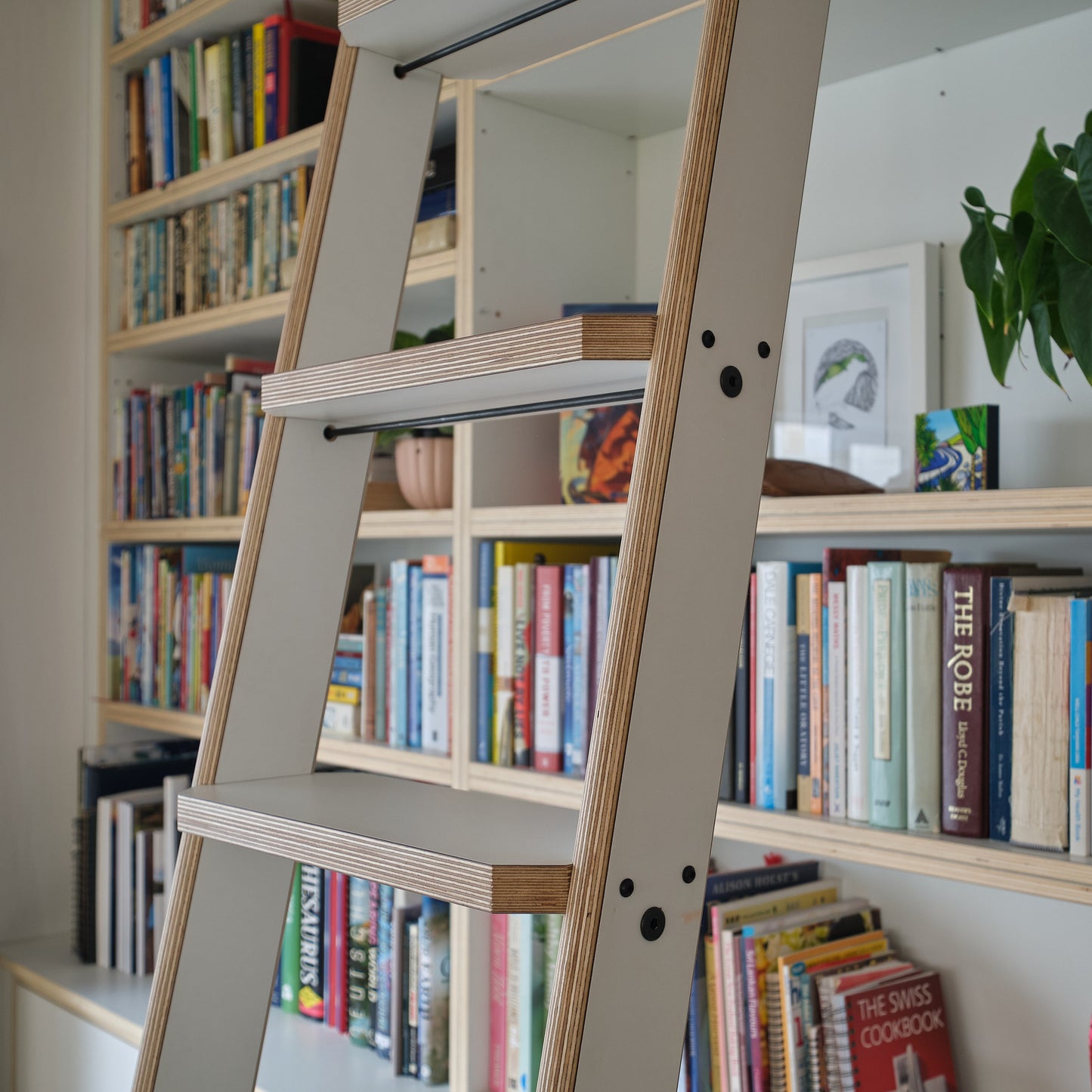 Library with Rolling Ladder