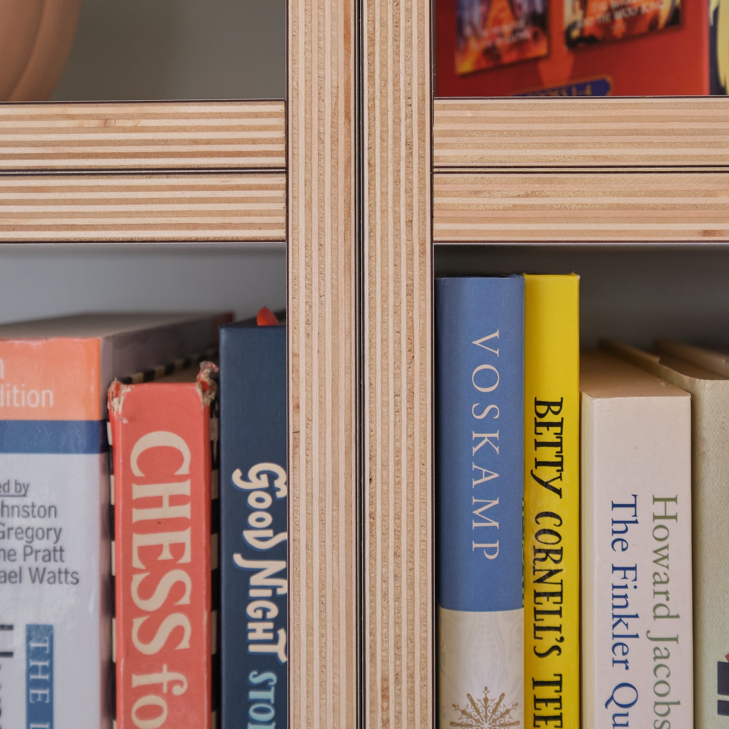 Library with Rolling Ladder