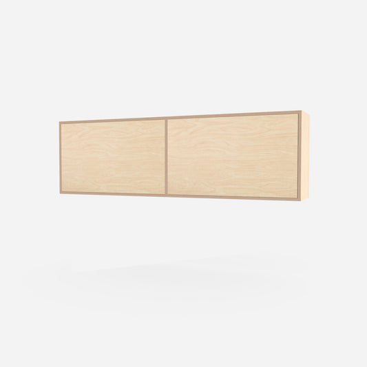 2 Door Plywood Wall Cabinet